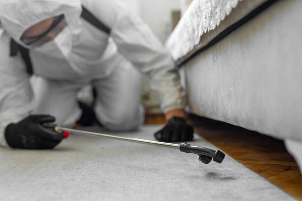 Professional Bed Bug Control technician working in Fountain Valley, CA