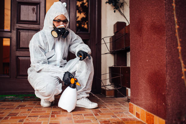 Reliable Bed Bug Control contractor in Fountain Valley, CA by Nex Pest Control