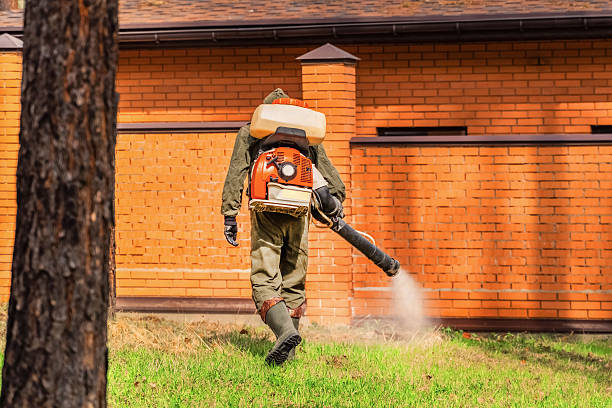 Trusted Bed Bug Control service in Fountain Valley, CA - Nex Pest Control